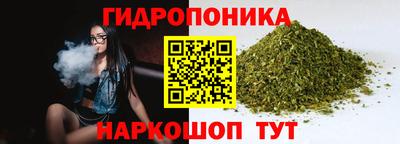 МДПВ Можайск